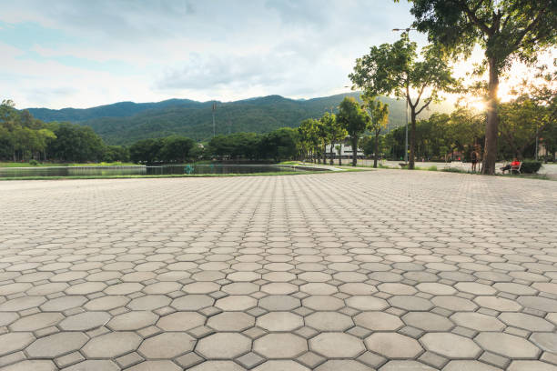 Best Driveway Paving Contractor  in Clinton, TN